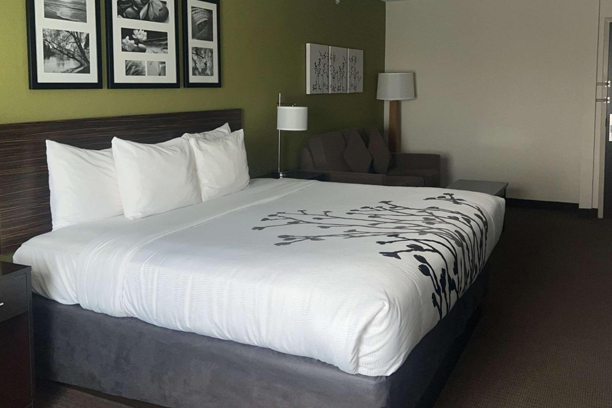 Sleep Inn & Suites Jourdanton - Pleasanton Εξωτερικό φωτογραφία